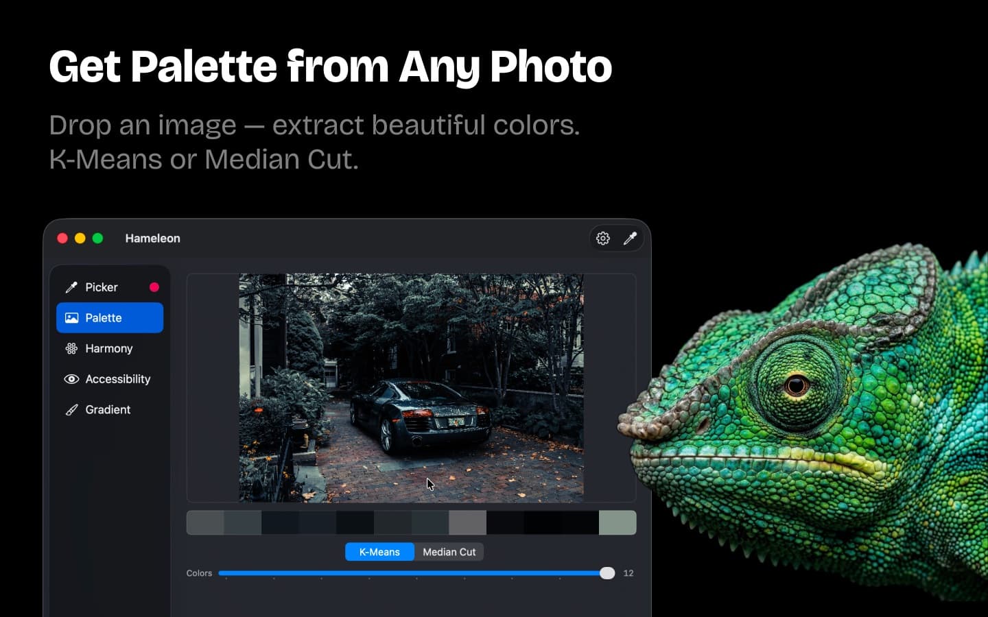 Hameleon Color Picker